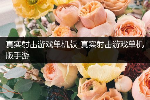 真实射击游戏单机版_真实射击游戏单机版手游