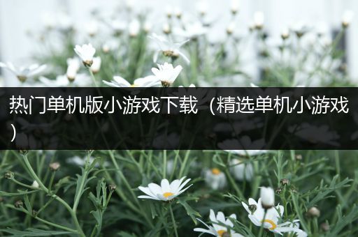 热门单机版小游戏下载（精选单机小游戏）