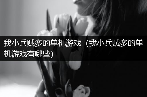 我小兵贼多的单机游戏（我小兵贼多的单机游戏有哪些）