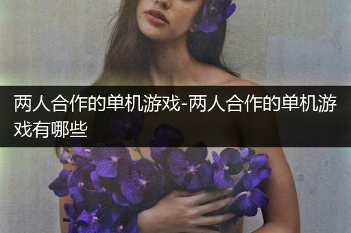 两人合作的单机游戏-两人合作的单机游戏有哪些