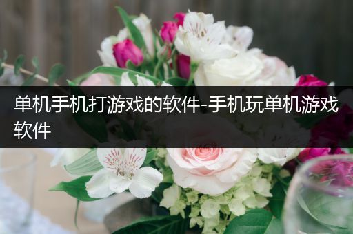单机手机打游戏的软件-手机玩单机游戏软件
