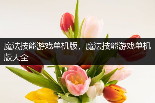 魔法技能游戏单机版，魔法技能游戏单机版大全