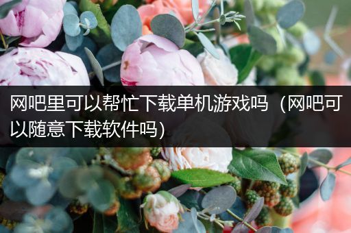 网吧里可以帮忙下载单机游戏吗（网吧可以随意下载软件吗）