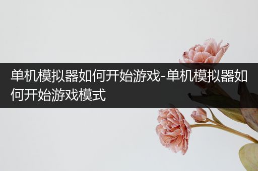 单机模拟器如何开始游戏-单机模拟器如何开始游戏模式