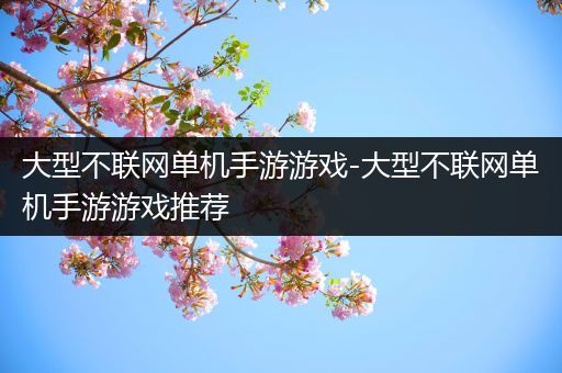 大型不联网单机手游游戏-大型不联网单机手游游戏推荐