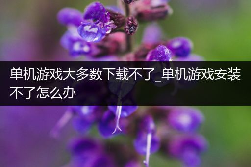 单机游戏大多数下载不了_单机游戏安装不了怎么办