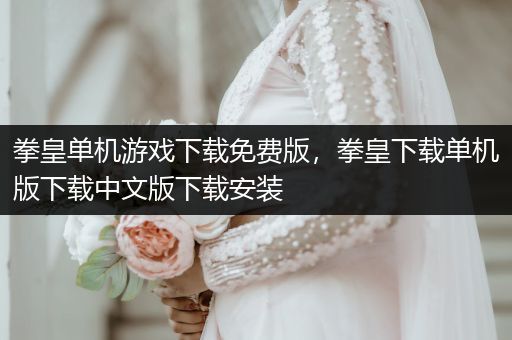 拳皇单机游戏下载免费版，拳皇下载单机版下载中文版下载安装