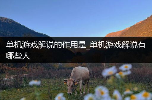 单机游戏解说的作用是_单机游戏解说有哪些人