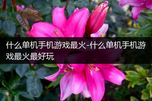 什么单机手机游戏最火-什么单机手机游戏最火最好玩