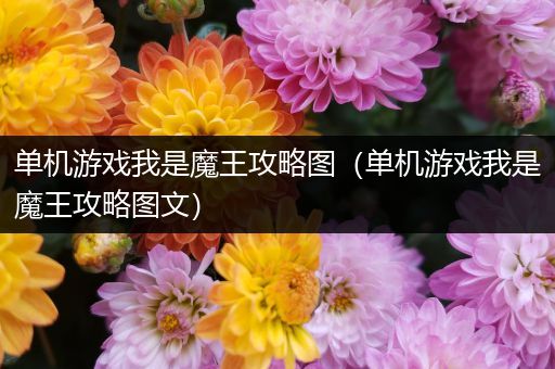 单机游戏我是魔王攻略图（单机游戏我是魔王攻略图文）