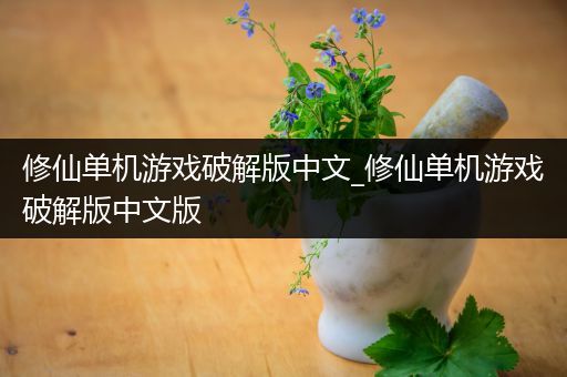 修仙单机游戏破解版中文_修仙单机游戏破解版中文版