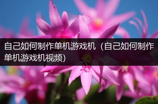自己如何制作单机游戏机（自己如何制作单机游戏机视频）