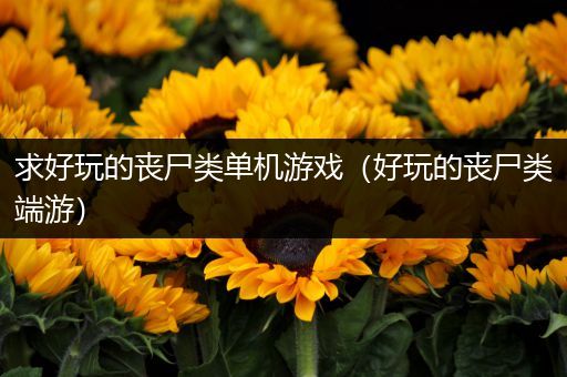 求好玩的丧尸类单机游戏（好玩的丧尸类端游）