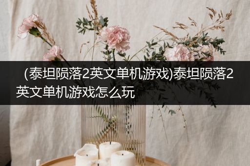 （泰坦陨落2英文单机游戏)泰坦陨落2英文单机游戏怎么玩
