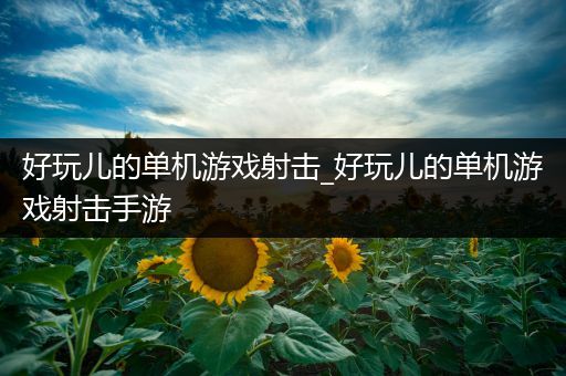 好玩儿的单机游戏射击_好玩儿的单机游戏射击手游