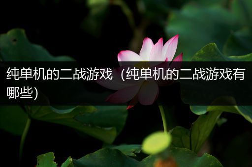 纯单机的二战游戏（纯单机的二战游戏有哪些）