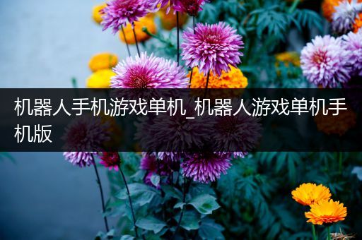 机器人手机游戏单机_机器人游戏单机手机版