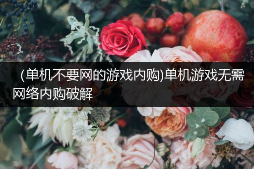 （单机不要网的游戏内购)单机游戏无需网络内购破解