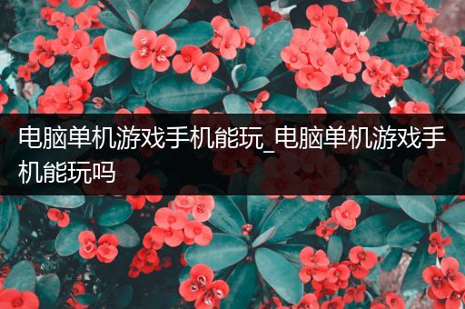 电脑单机游戏手机能玩_电脑单机游戏手机能玩吗