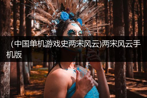 （中国单机游戏史两宋风云)两宋风云手机版