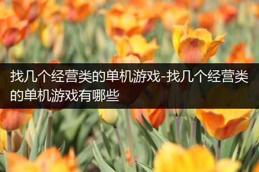 找几个经营类的单机游戏-找几个经营类的单机游戏有哪些