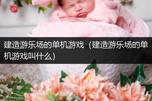 建造游乐场的单机游戏（建造游乐场的单机游戏叫什么）