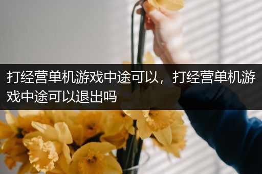 打经营单机游戏中途可以，打经营单机游戏中途可以退出吗