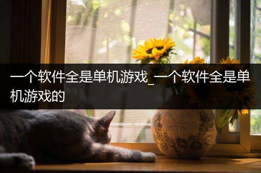 一个软件全是单机游戏_一个软件全是单机游戏的