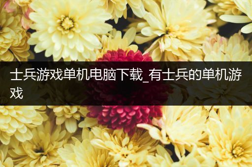士兵游戏单机电脑下载_有士兵的单机游戏
