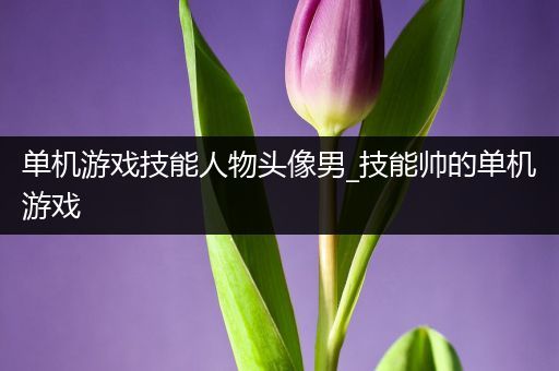 单机游戏技能人物头像男_技能帅的单机游戏