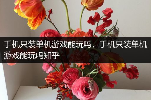 手机只装单机游戏能玩吗，手机只装单机游戏能玩吗知乎
