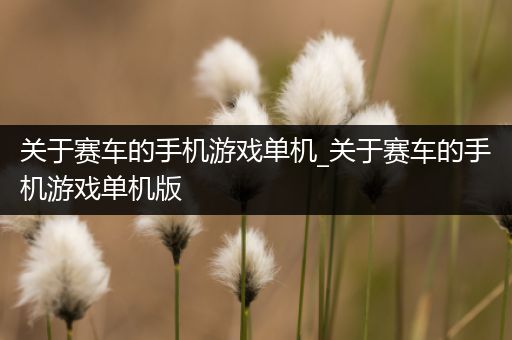 关于赛车的手机游戏单机_关于赛车的手机游戏单机版