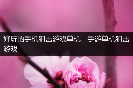 好玩的手机狙击游戏单机，手游单机狙击游戏