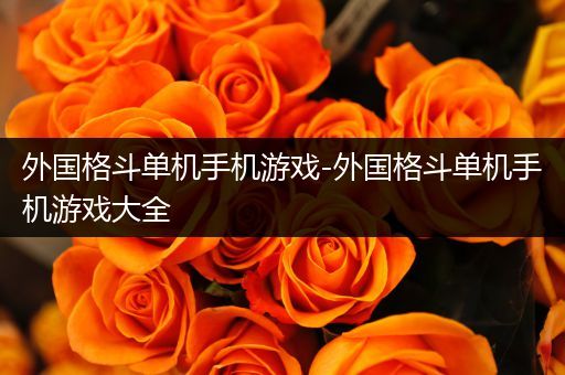外国格斗单机手机游戏-外国格斗单机手机游戏大全