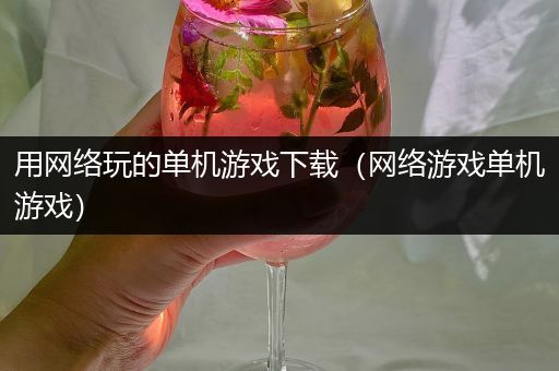 用网络玩的单机游戏下载（网络游戏单机游戏）