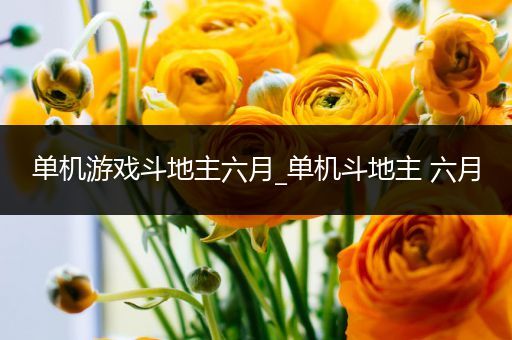 单机游戏斗地主六月_单机斗地主 六月
