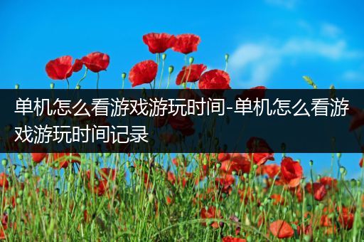 单机怎么看游戏游玩时间-单机怎么看游戏游玩时间记录