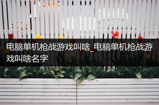 电脑单机枪战游戏叫啥_电脑单机枪战游戏叫啥名字