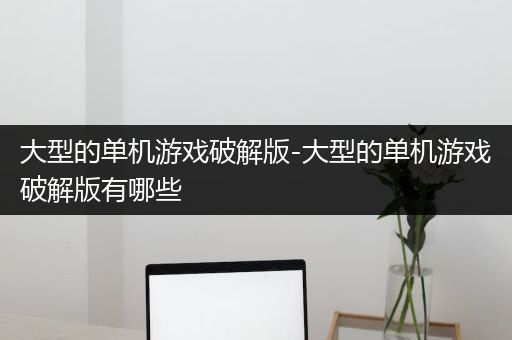 大型的单机游戏破解版-大型的单机游戏破解版有哪些