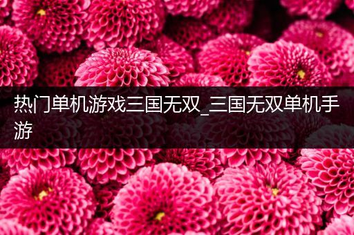 热门单机游戏三国无双_三国无双单机手游