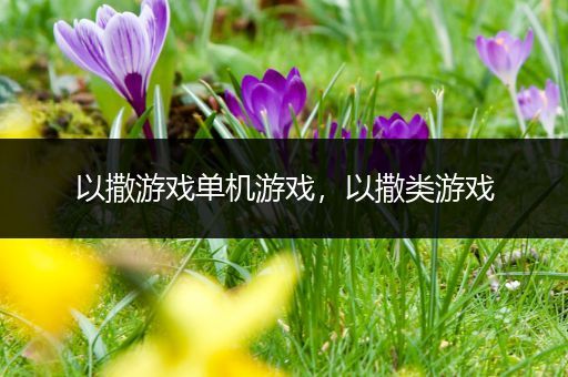 以撒游戏单机游戏，以撒类游戏