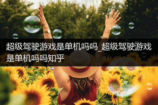 超级驾驶游戏是单机吗吗_超级驾驶游戏是单机吗吗知乎