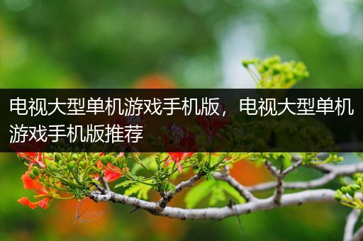 电视大型单机游戏手机版，电视大型单机游戏手机版推荐