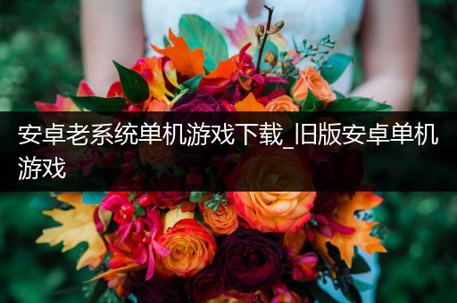 安卓老系统单机游戏下载_旧版安卓单机游戏