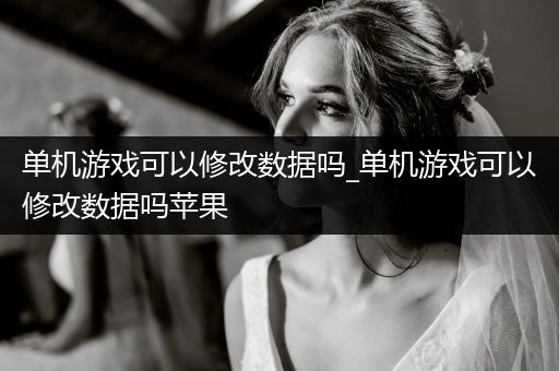 单机游戏可以修改数据吗_单机游戏可以修改数据吗苹果