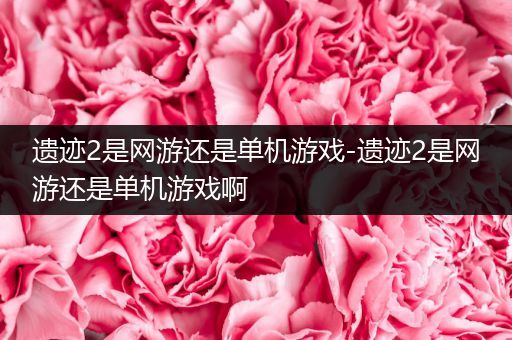 遗迹2是网游还是单机游戏-遗迹2是网游还是单机游戏啊