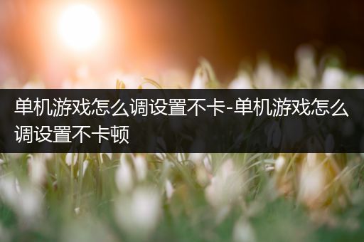 单机游戏怎么调设置不卡-单机游戏怎么调设置不卡顿
