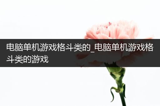 电脑单机游戏格斗类的_电脑单机游戏格斗类的游戏