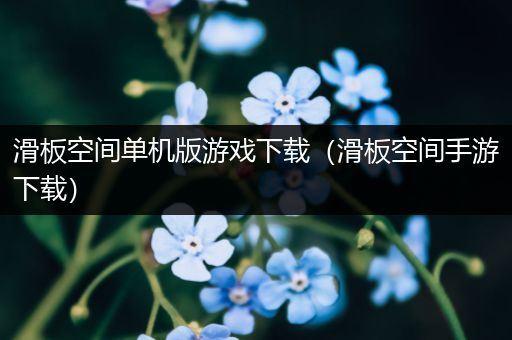 滑板空间单机版游戏下载（滑板空间手游下载）