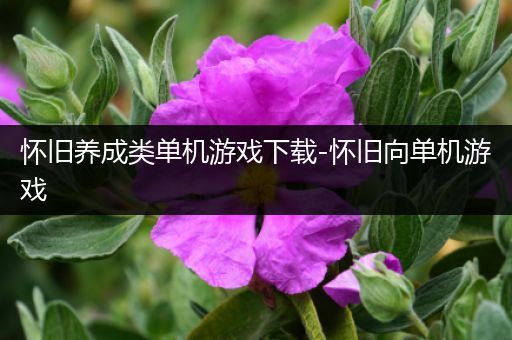 怀旧养成类单机游戏下载-怀旧向单机游戏
